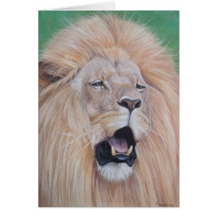 portret afbeelding van het houden van grote katten