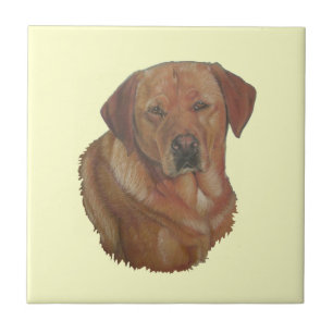 portret afbeelding zeldzame rode labrador retreive tegeltje