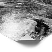 Portret Afrikaanse Cape Buffalo Foto Afdruk (Hoek)