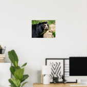 Portret Andesbeer Poster (Thuiskantoor)