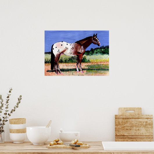 Portret Appaloosa Horse Poster (Keuken)