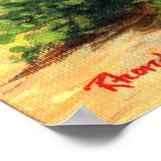 Portret Appaloosa Profile Horse Poster (Hoek)