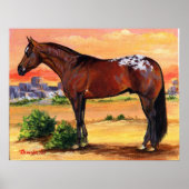Portret Appaloosa Profile Horse Poster (Voorkant)