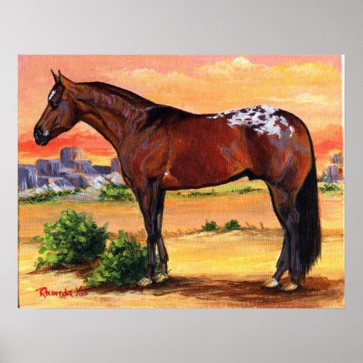 Portret Appaloosa Profile Horse Poster (Voorkant)