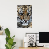 Portret baby Amur Tiger Cub Poster (Thuiskantoor)