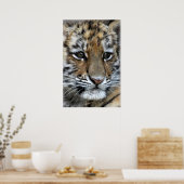 Portret baby Amur Tiger Cub Poster (Keuken)