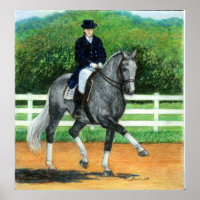 Portret Belgische Warmblood Dressage Horse