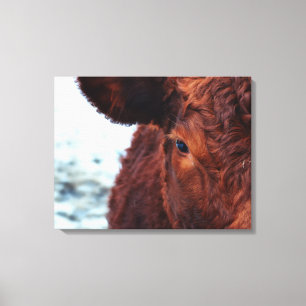 Portret bruine koe canvas afdruk