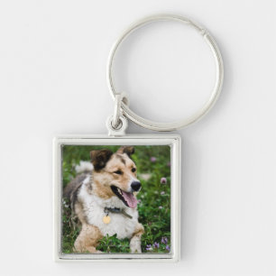 Portret buitenshuis van de hond die in de weide li sleutelhanger