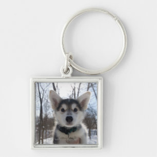 Portret buitenshuis van een husky dog puppy sleutelhanger