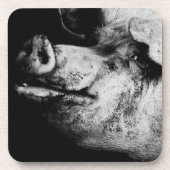 portret drankjes onderzetter (Voorkant)