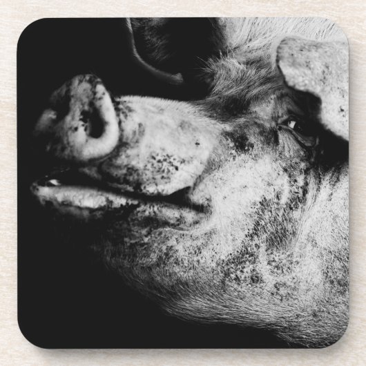 portret drankjes onderzetter (Voorkant)