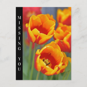 Portret Elegant Yellow and Red Tulip FLower Briefkaart