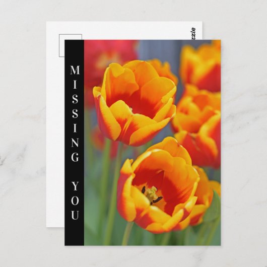 Portret Elegant Yellow and Red Tulip FLower Briefkaart (Voorkant / Achterkant)