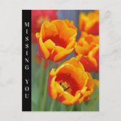 Portret Elegant Yellow and Red Tulip FLower Briefkaart (Voorkant)