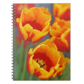 Portret Elegant Yellow and Red Tulip FLower Notitieboek (Voorkant)