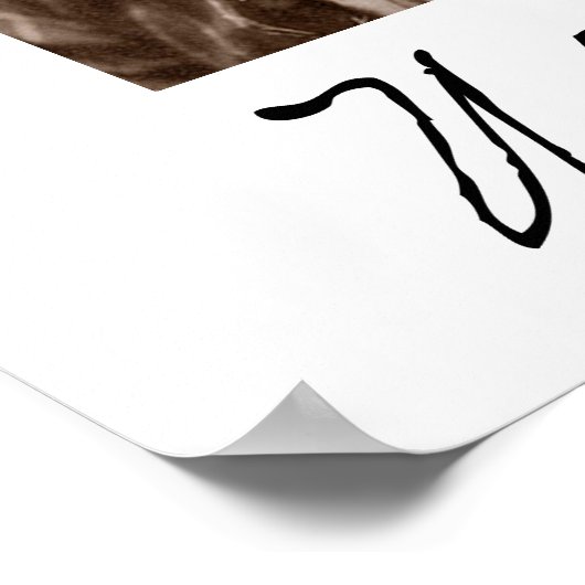 Portret en handtekening van Nellie Bly Poster (Hoek)