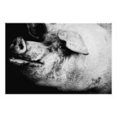 portret foto afdruk (Voorkant)