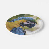 Portret foto van rotatieprofiel papieren bordje (Gekanteld)