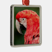 Portret groene ara metalen ornament (Rechts)