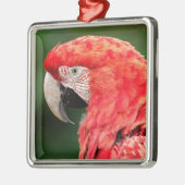 Portret groene ara metalen ornament (Links)