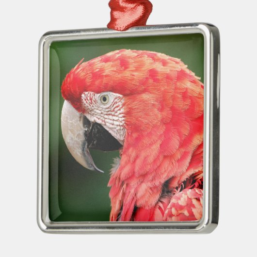 Portret groene ara metalen ornament (Links)