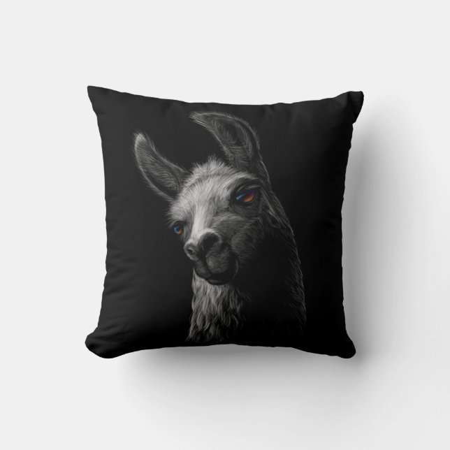 Portret Head Cute Llama met een zwarte achtergrond Kussen (Voorkant)