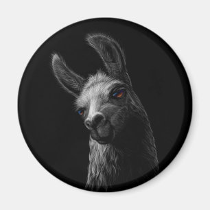Portret Head Cute Llama met een zwarte achtergrond Magneet