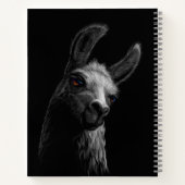 Portret Head Cute Llama met een zwarte achtergrond Notitieboek (Achterkant)