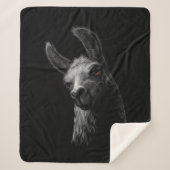 Portret Head Cute Llama met een zwarte achtergrond Sherpa Deken (Voorkant)