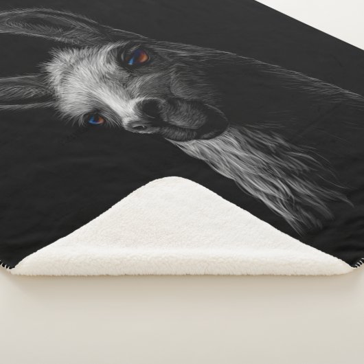 Portret Head Cute Llama met een zwarte achtergrond Sherpa Deken (3/4)