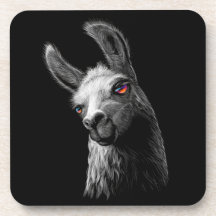 Portret Head Cute Llama op zwarte achtergrond