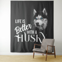 Portret Head Siberian Husky met blauwe ogen