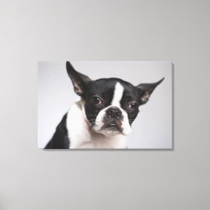 Portret hond canvas afdruk