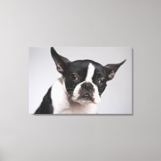 Portret hond canvas afdruk (Voorkant)