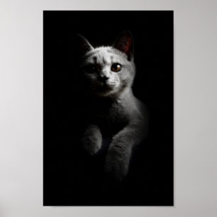 Portret kat/kutten/Kat Poster