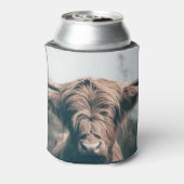 Portret koe Highland Blikjeskoeler (Blikje Achterkant)