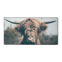 Portret koe Highland