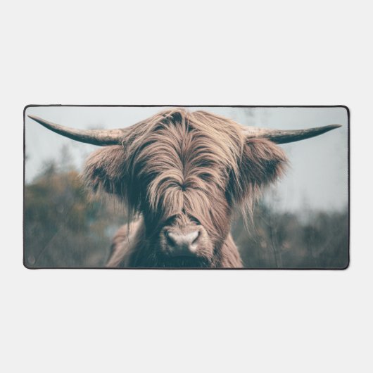 Portret koe Highland Bureaumat (Voorkant)