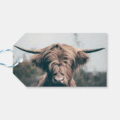 Portret koe Highland Cadeaulabel (Achterkant Horizontaal)