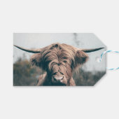 Portret koe Highland Cadeaulabel (Voorkant (Horizontaal))