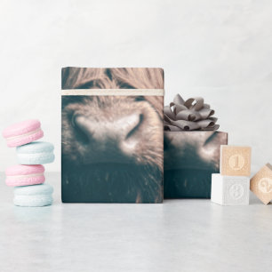 Portret koe Highland Cadeaupapier