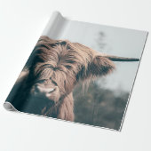 Portret koe Highland Cadeaupapier (Uitgerold)