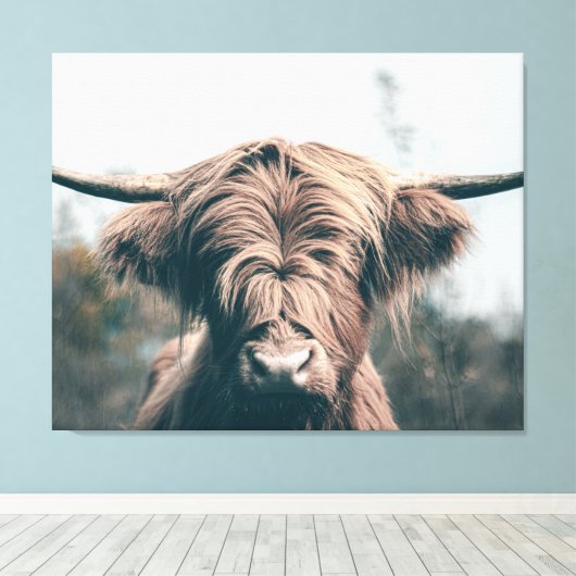 Portret koe Highland Canvas Afdruk (Insitu (Houten vloer))