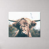 Portret koe Highland Canvas Afdruk (Voorkant)