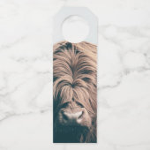 Portret koe Highland Flessenhanger (Voorkant)