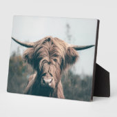 Portret koe Highland Fotoplaat (Zijkant)