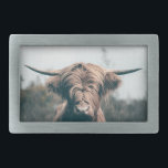 Portret koe Highland Gesp<br><div class="desc">Dierlijke foto van de majestueuze koe van het hoogland.</div>