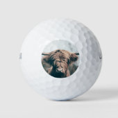 Portret koe Highland Golfballen (Voorkant)