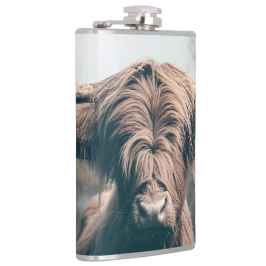 Portret koe Highland Heupfles (Rechts)